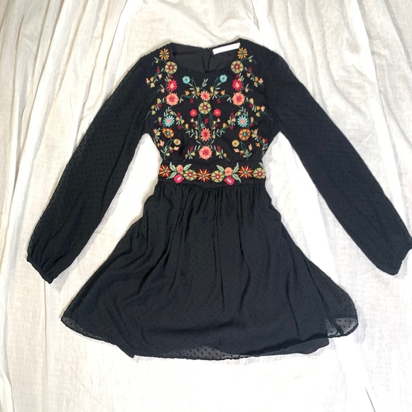 Zara Dresses & Skirts - Zara Embroidered Dot Mesh Dress